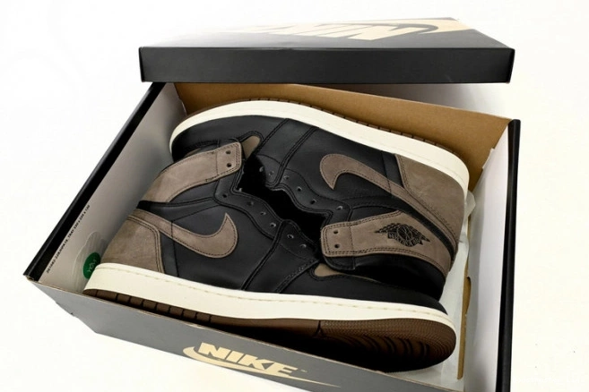 Bmlin shoes DZ5485-020 Jordan Air 1 High OG Palomino 0815